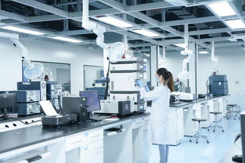 制度創(chuàng)新與科技創(chuàng)新雙輪驅(qū)動(dòng) 廈門海滄打通助企紓困“最后一公里”技術(shù)服務(wù)